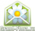 Логотип компании Доставка цветов Гранд Флора (ф-л г.Всеволожск)